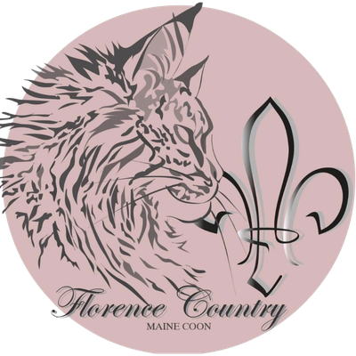 Florence Country Maine Coon